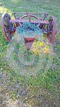 An antique carriage with a jar of  green flowers .