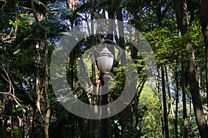 Antique chandelier in park