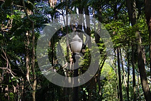 Antique chandelier in park photo