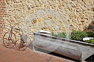 Antique Children's Tricycle