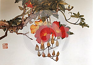 Antique Chinese Painting Campsis Grandiflora Flowers Flower Blossom Floral Bird Brush Paintings Watercolor Nature Plants Prints