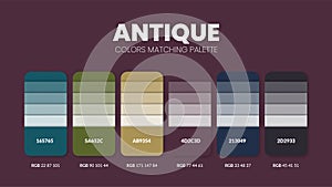 Antique color palettes or color schemes are trends combinations and palette guides this year, table color shades in RGB or HEX.