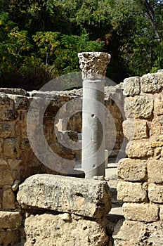 Antique column in Agrippa palace, Israel photo