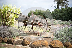 Antique Corroded Rusty Farm Wagon