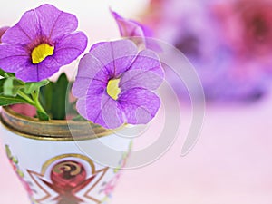 Antique cup of tea with purple violet flowers ,calibrachoe petunia ,soft selective focus pastel pretty background or wallpaper ,Ch