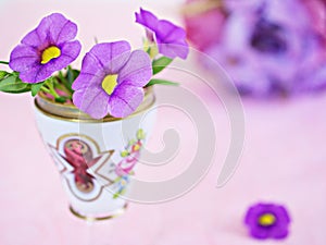 Antique cup of tea with purple violet flowers ,calibrachoe petunia ,soft selective focus pastel pretty background or wallpaper ,Ch