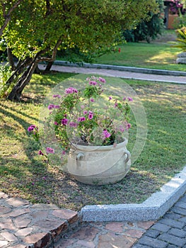 Antique Decorative Vase in Stone inside Park with Violet Flowers