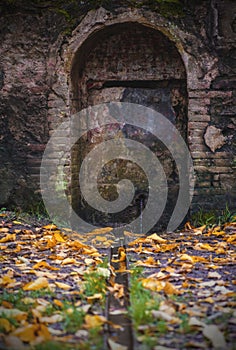 Antique door in the forest