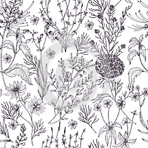 Antique floral seamless pattern with wild flowers, flowering herbs and herbaceous plants hand drawn in black and white