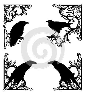 antique flourish elements forming black and white vintage frame design with border corners and raven birds
