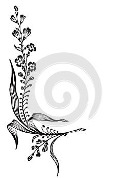 Antique flower corner engraving (vector)