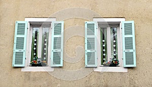Antique French house window decor