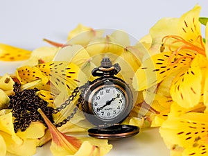 Antique gold pocket watch of the nineteenth century with yellow alstroemeria