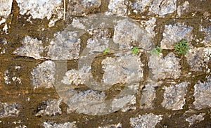 Antique grey old brick wall. Texture. For text