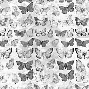 Antique grungy butterflies over french invoice collage background desaturated