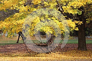 Antique Hay Rake in Fall