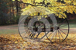 Antique Hay Rake in Fall