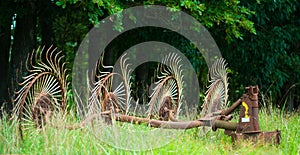 Antique hay rake in field