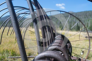 Antique Hay Rake in Pasture