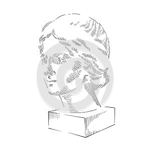 Antique head sculpture art. Black graphic image on white background. Sketch hand drawing illustration