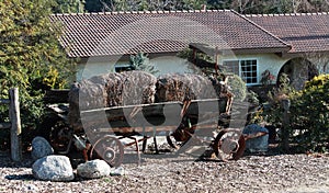 Antique Hey Wagon