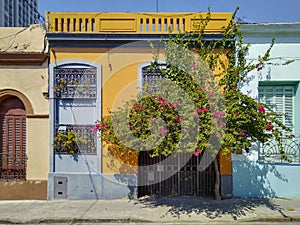 Antique houses, barrio sur, montevideo, uruguay