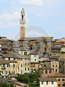 Antique houses and Mangia tower. Siena, Italy