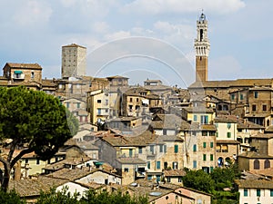 Antique houses and Mangia tower. Siena, Italy