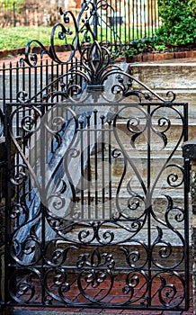 Antique iron gate in the rain.