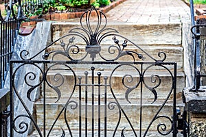 Antique iron gate in the rain.