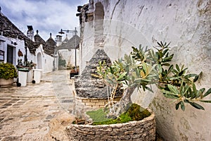 Antique italian house Trulli, Alberobello, Puglia - Italy