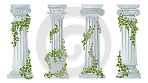 Antique ivy-covered classic greek columns. Cartoon ancient roman pillars with climbing ivy branches isolated flat vector