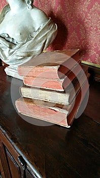 Antique leather bound books and alabaster bust