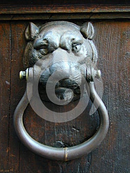 Antique Lion Doorknocker on Door in Rome Italy