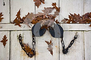 Antique locks close the cellar door