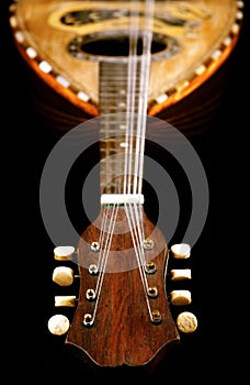 Antique Mandolin photo