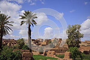 Antique Moroccan Kasbah Tamnugalt surrounded by palm