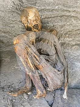 Antique mummies in Alcaya, Bolivia photo