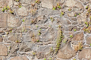 Antique natural stonewall