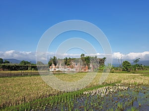 Antique old country vintage building in the rice farm