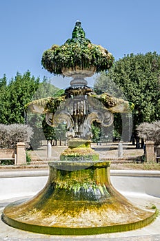 Antique old fountain of the Lily in the park of Villa Doria-Pamphili in Rome, Italy