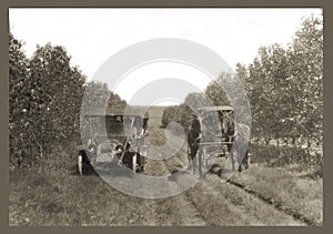 Antique photograph car and horses