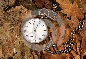 Antique pocket watch on dead leaves
