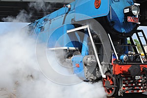 Antique powerful blue steam locomotive type ÄŒSD Class 477.0 from Czech bursting steam and vapour in Wolsztyn, Poland