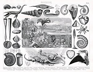 1874 Antique Print of Prheistoric Jurassic and Cambrian Period Plants and Animals