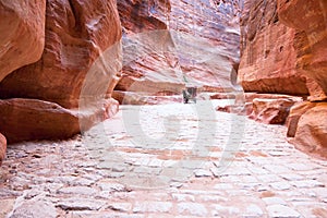 Antique roman paved road in Siq passage in city Pe