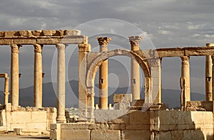 Antique ruins of Palmyra