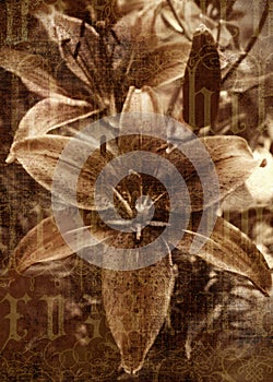 Antique Sepia Flower Photo