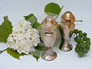 Antique silver salt and pepper shaker