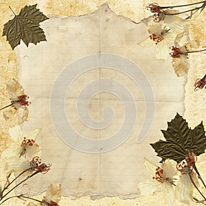 Antique Stationary/Background